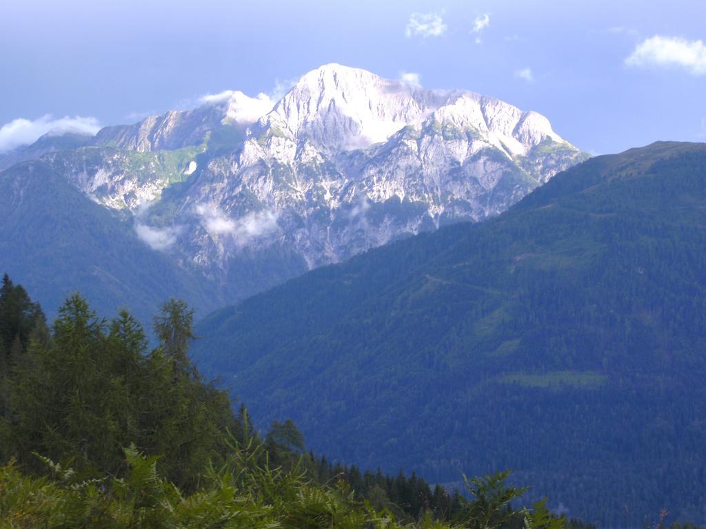 Gasthof Zum Loewen Sankt Jakob im Lesachtal Esterno foto