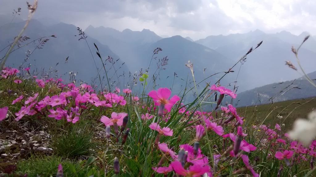 Gasthof Zum Loewen Sankt Jakob im Lesachtal Esterno foto