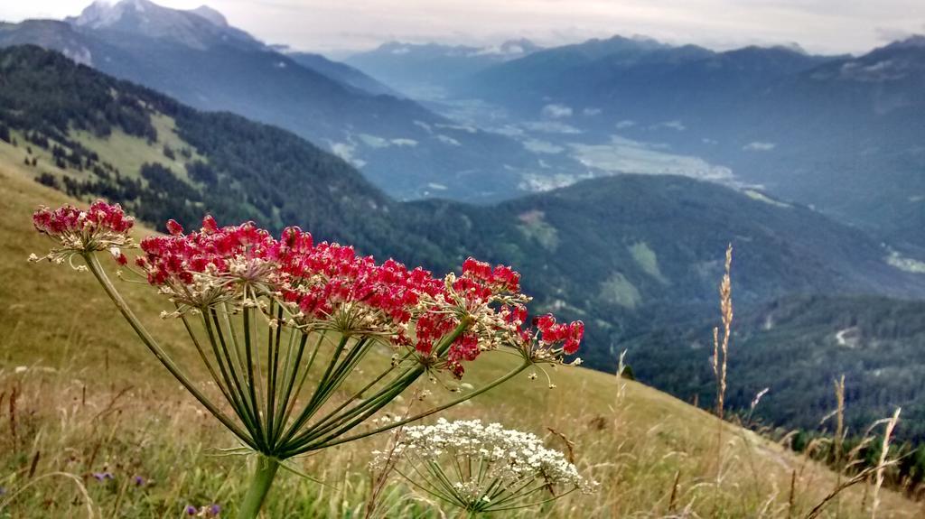 Gasthof Zum Loewen Sankt Jakob im Lesachtal Esterno foto
