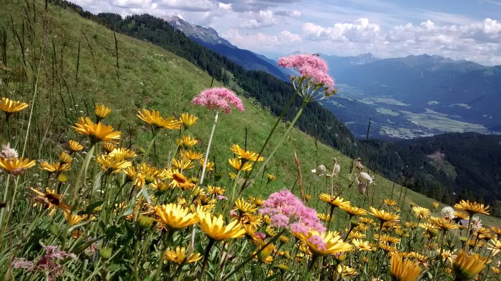Gasthof Zum Loewen Sankt Jakob im Lesachtal Esterno foto