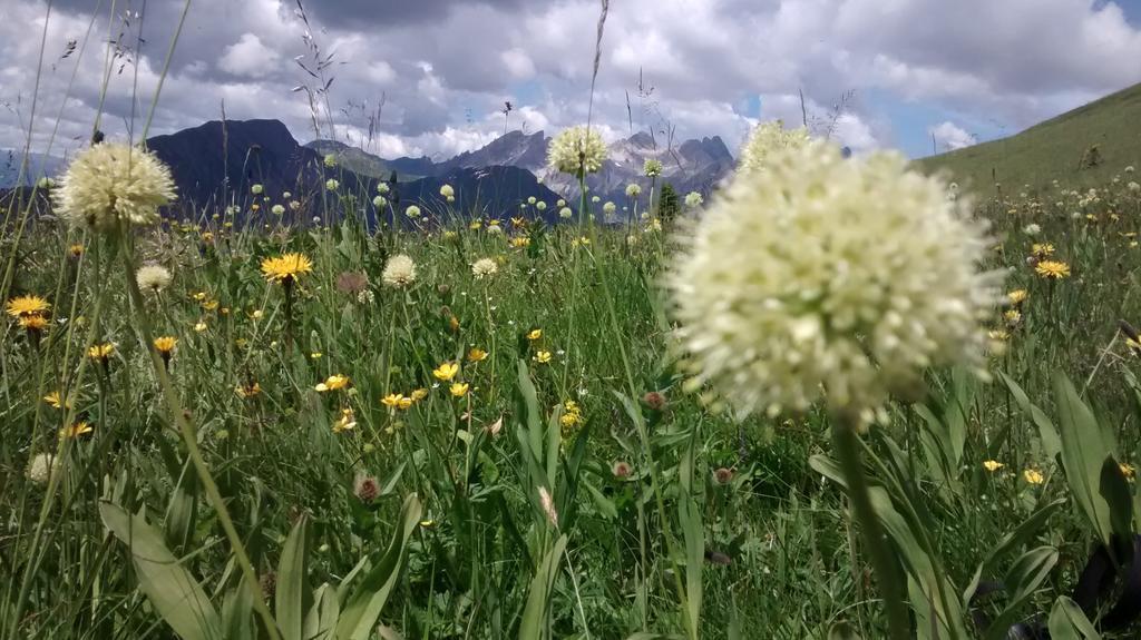 Gasthof Zum Loewen Sankt Jakob im Lesachtal Esterno foto