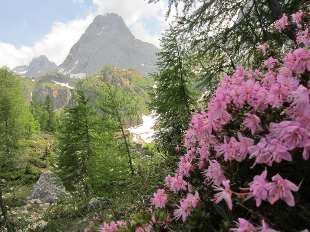 Gasthof Zum Loewen Sankt Jakob im Lesachtal Esterno foto