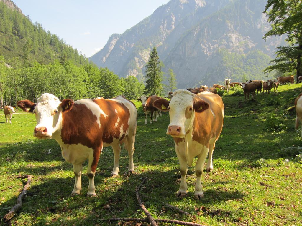 Gasthof Zum Loewen Sankt Jakob im Lesachtal Esterno foto