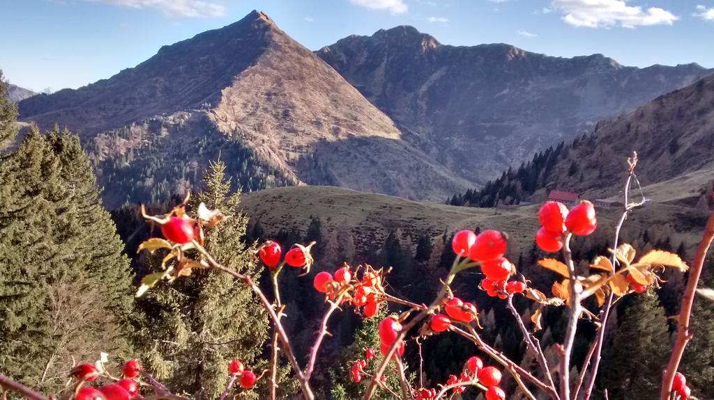 Gasthof Zum Loewen Sankt Jakob im Lesachtal Esterno foto