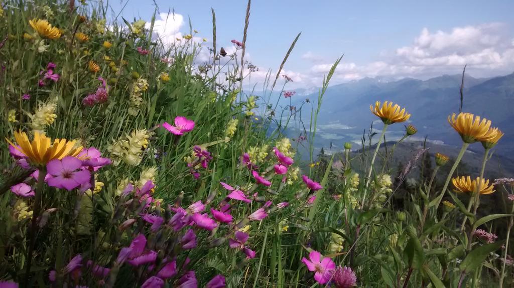 Gasthof Zum Loewen Sankt Jakob im Lesachtal Esterno foto
